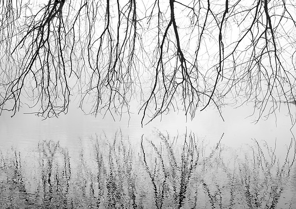 Reaching and Reflecting - will need to be cropped to fit standard size mat or frame. PM me for help.