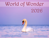 2026 World of Wonder Calendar