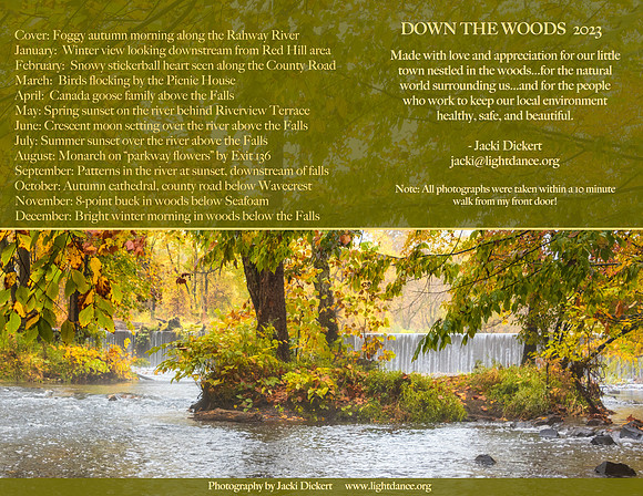 Back Cover - Winfield Falls