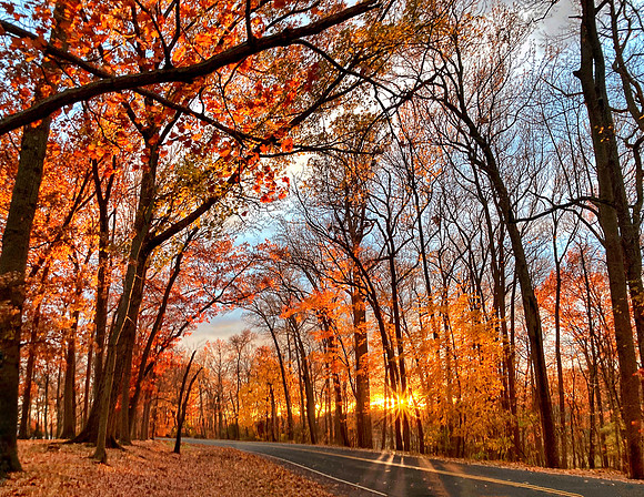 October - Autumn Cathedral