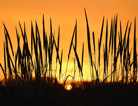 1. Winter Sunset on the Dunes