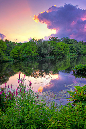 Rahway River Summer Sunset