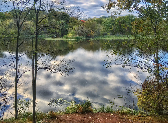 Rahway River above Bloodgoods Dam, aka Bloodgoods Pond