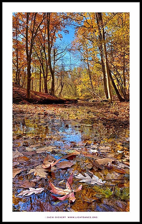 Small creek leading to the Rahway River between Linden and Winfield Park