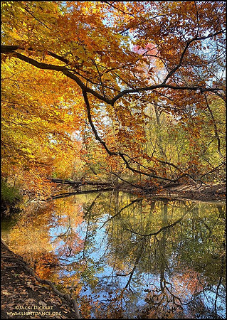 Rahway River near Winfield Park