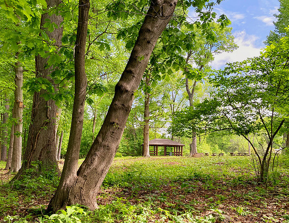April - Picnic House in Spring