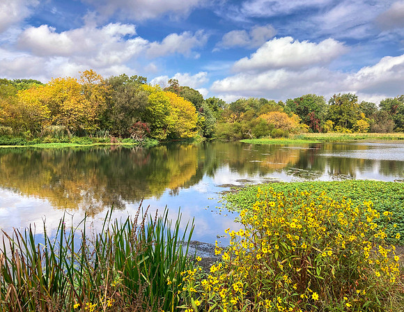 September- Early Autumn above the Falls