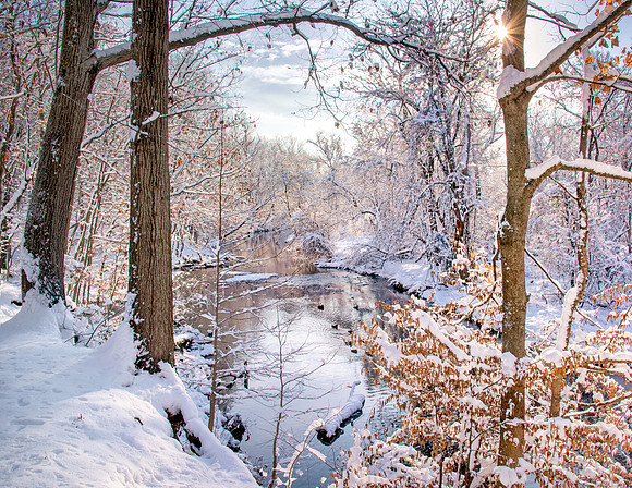 January - Bright Snowy Morning