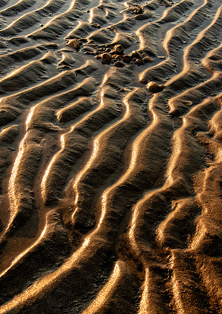 golden mud ripples