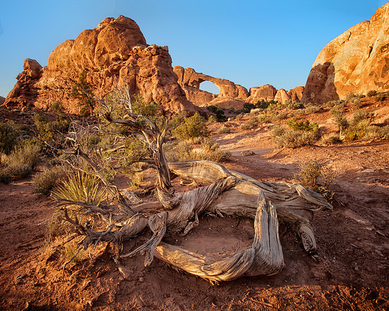 Landscape Arch