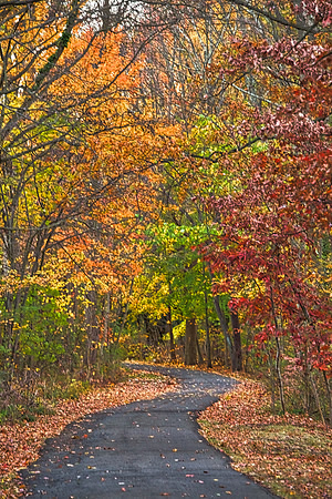 Big Bend Lake Path, follows the curves of the Rahway River which runs alongside it - Cranford section of the RRP