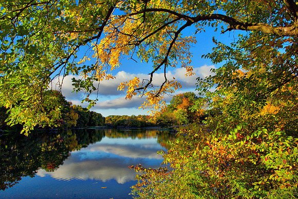 Jackson Pond - Clark section RRP