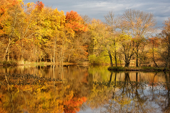 Rahway River, above Jackson Falls