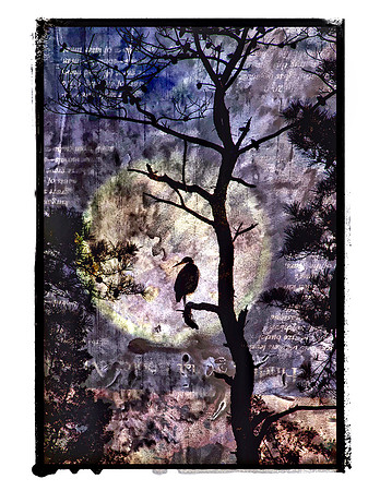 Halloween Heron