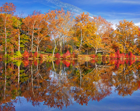 Rahway Park