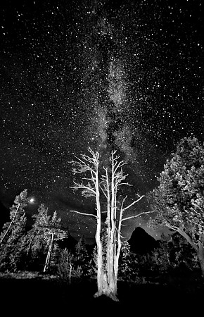 Glory of the Night: prints 6x9, 10x15, 12x18, 16x24