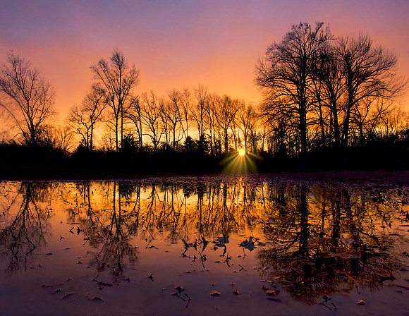 Rahway river Park