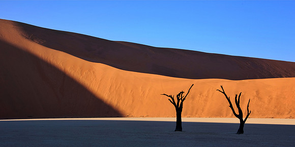 Namib Desert