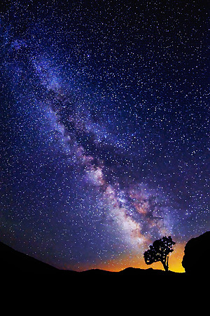 Milky Way and tree: prints 6x9, 10x15, 12x18, 16x24