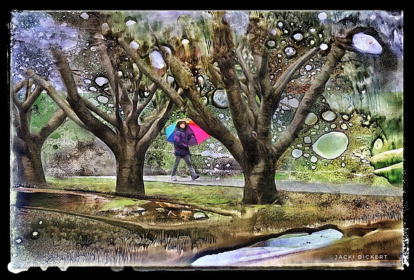 Rainy Day at the Park
