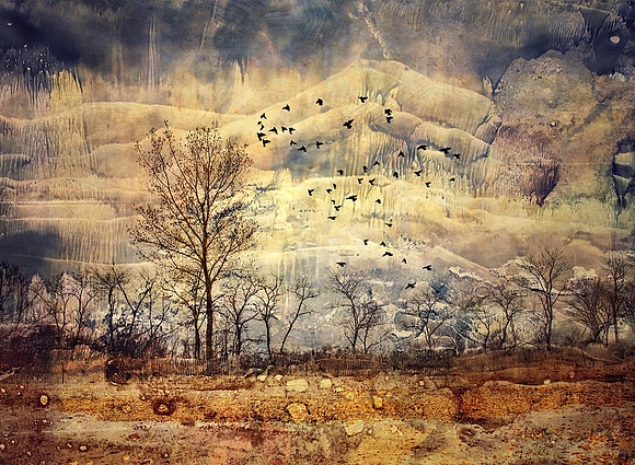 Flight of the Imagination