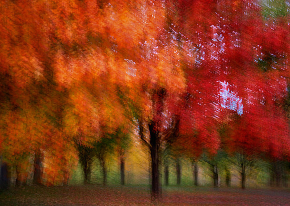 Autumn in the Park (impressionist) Rahway Park