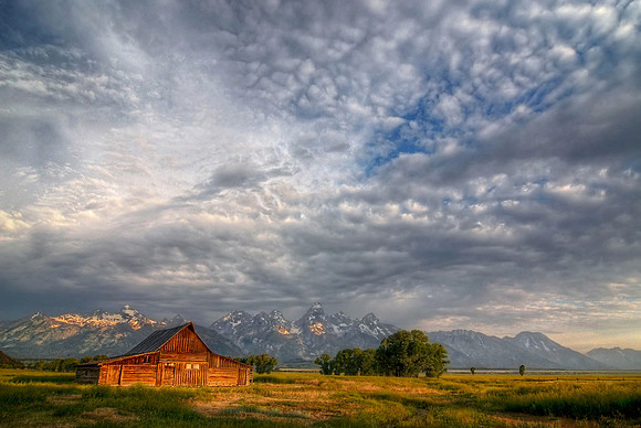 Teton Morning