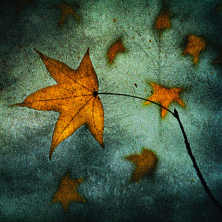 Autumn Retrospective
