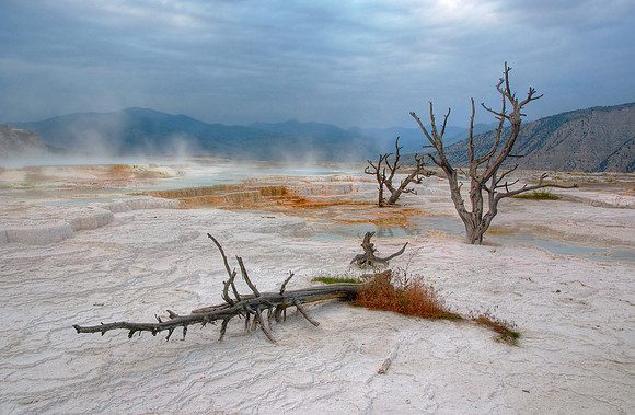 Dusk at Mammoth Hot Springs