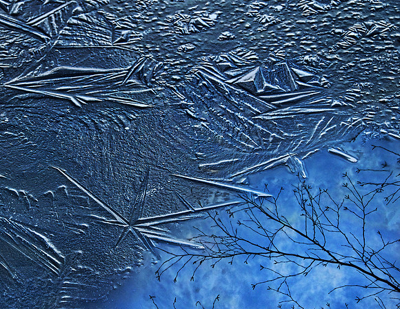 January - Ice Patterns and Tree Reflections - Rahway River