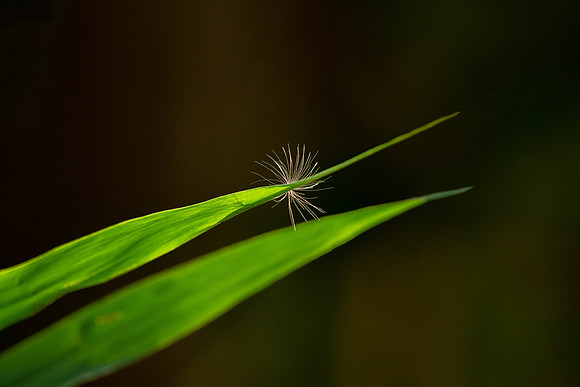 _DSC0200-Edit