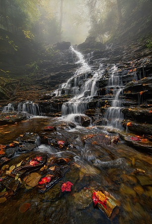 Autumn in the Glen