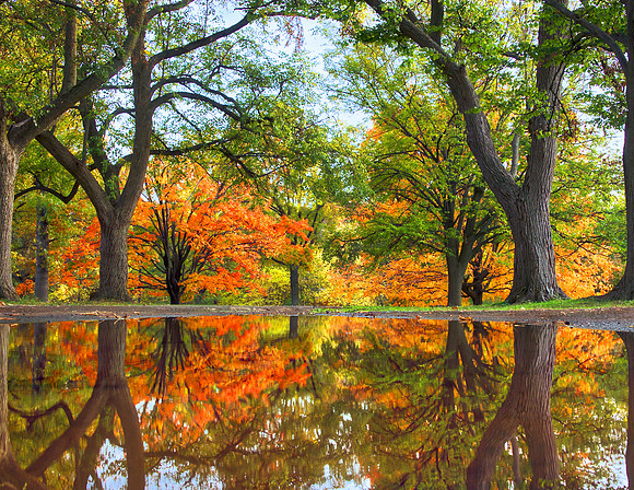 October - Rahway River Park, NJ