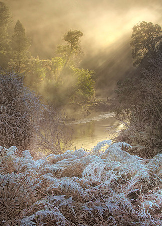 Mist-ical Morning